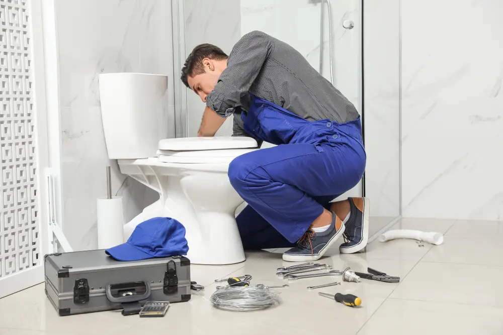 Toilet Repair in Waipio